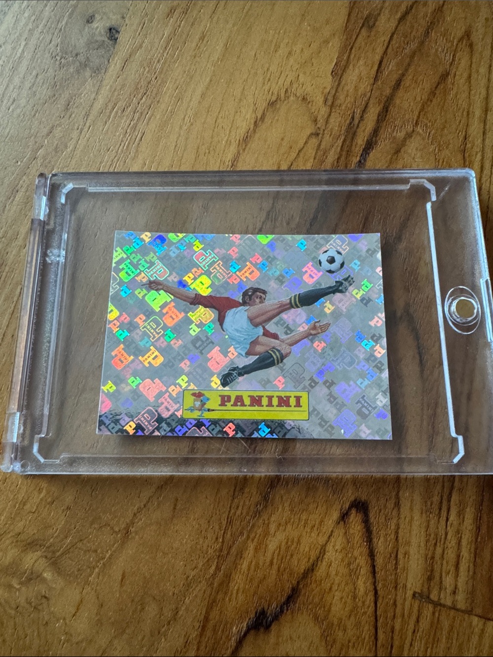 FIFA Panini World Cup Sticker: panini 000